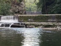 Vintage Charmer Waterfall views! sleeps 5!