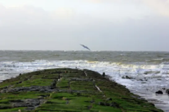 Very central, near the beach non-smoking apartment, suitable for seniors, WiFi