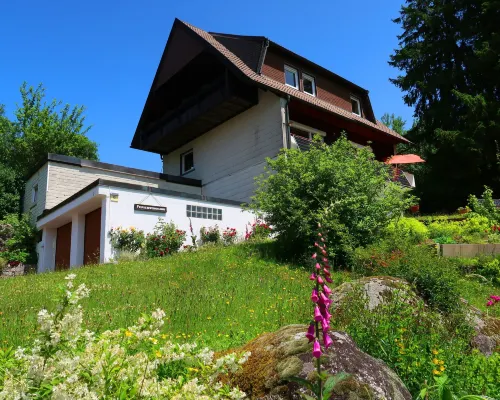 Blackforestbirdnest Hotels in Schonach
