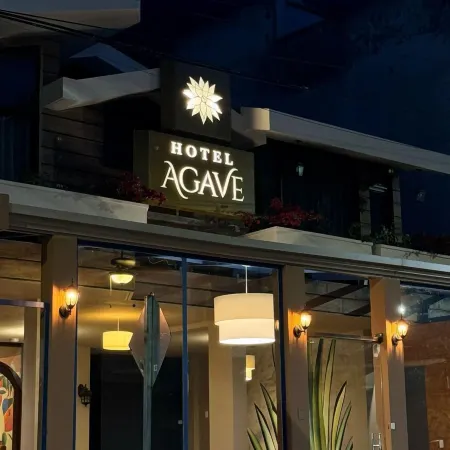 Hotel Casa Agave