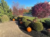 Gorgeous newer 2 story house in friendly neighborhood w new salt water hot tub