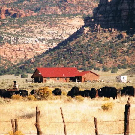 LVBar Ranch - Cabin #2