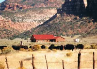 LVBar Ranch - Cabin #2