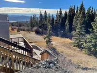 Mountain Views, Adjacent to White River National Forest, Renovated Ski Condo
