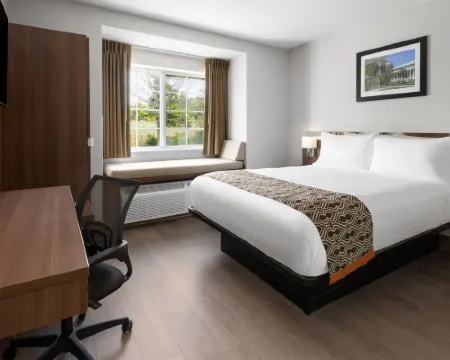 Microtel Inn by Wyndham Albany Airport Hotels in Latham