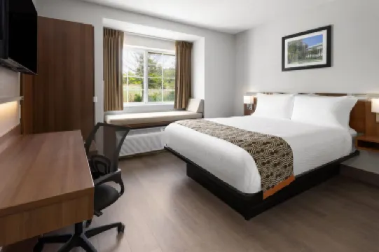 Microtel Inn by Wyndham Albany Airport Hotel di 