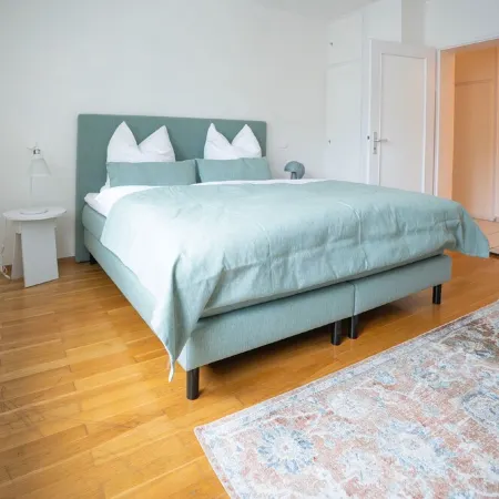 Seahorse, stylish apartment centrally located in Ulm, 3 bedrooms, kitchen, bathroom