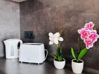 Modern apartment ZS15 with WLAN and fully equipped kitchen Hotels in Freital