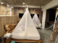 New Amazing room in a Tree house at a superb bay! فنادق في 