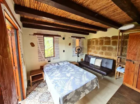 Casa Pájaro, birdwatching in native forest