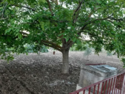 ISOLATED VILLA A FEW STEPS FROM THE COUNTRY, RELAX AND OPPORTUNITIES.