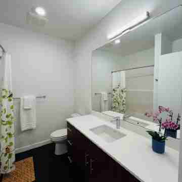 Modern Apartments w/ Rooftop Lounge by Lake Union Rooms