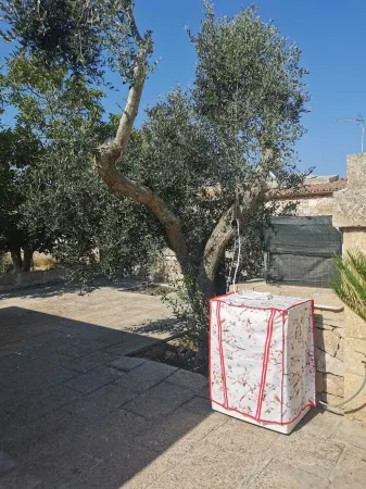 La Payara di Nonna Nina 4 P.letto a 3 km dal Mare