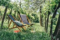 2 bedroom cozy cottage surrounded by vineyards Hotels in Tapolca