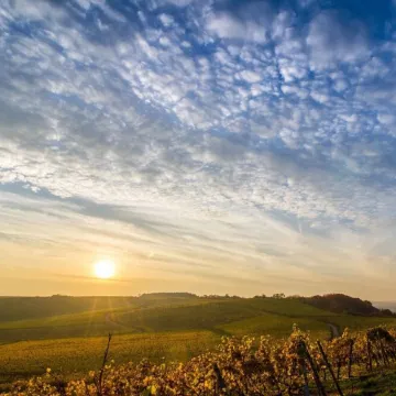 Design loft | near old town | parking lot | 84 m²