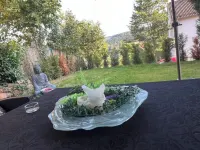 Budahome in the Black Forest