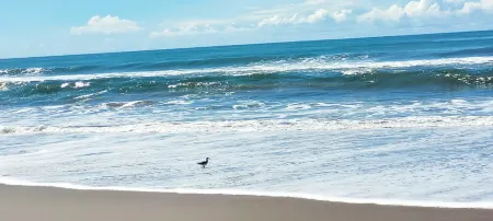 5TH FLR OCEANFRONT CONDO, PEACEFUL, AMAZING SUNSET, VIEW FROM EVERY ROOM, POOL