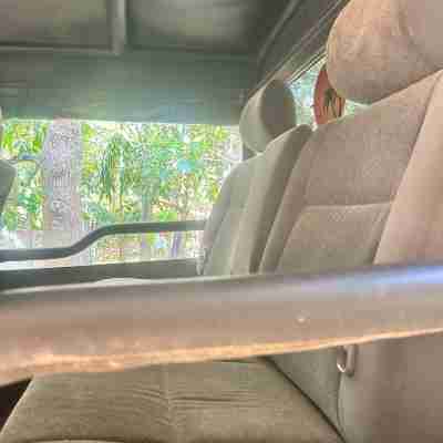 Elephant Safari from Sigiriya Others