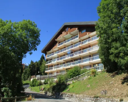 Apartment in Chatel for two people Hotels in Chatel