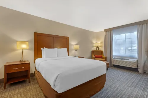 Comfort Inn & Suites Carbondale on the Roaring Fork