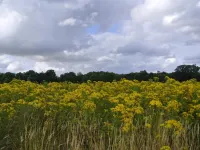 4 star holiday home in Hejls Hotels in Hejls