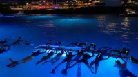 Holiday Inn Express & Suites KAILUA-KONA by IHG - Beach