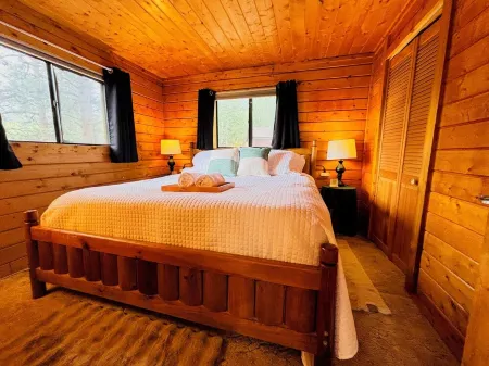 Cozy Boutique Mtn Cabin, Hot Tub, Views, Privacy, Dogs OK, Sleeps 1 to 4 Guests