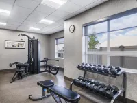 Best Western Premier Freeport Inn Calgary Airport - gimnasio