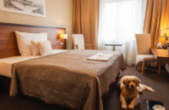 布拉迪斯拉發高級商務酒店