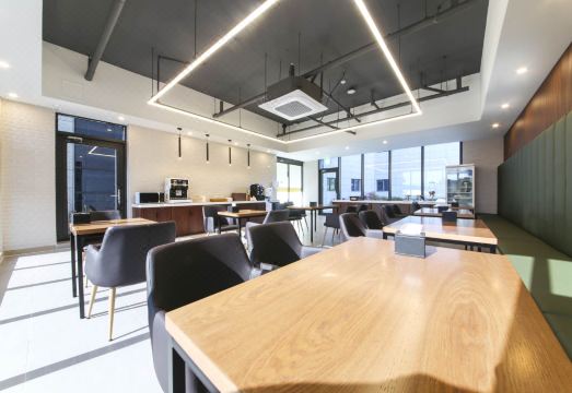 Golden Calf 대표 이미지