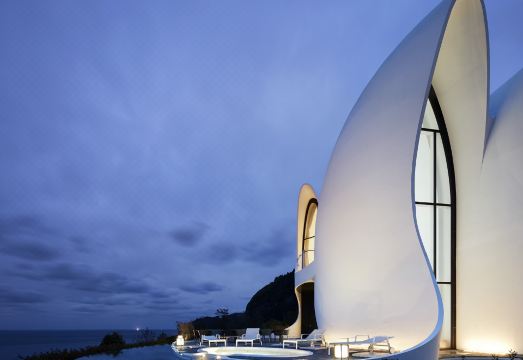 코스모스 울릉도