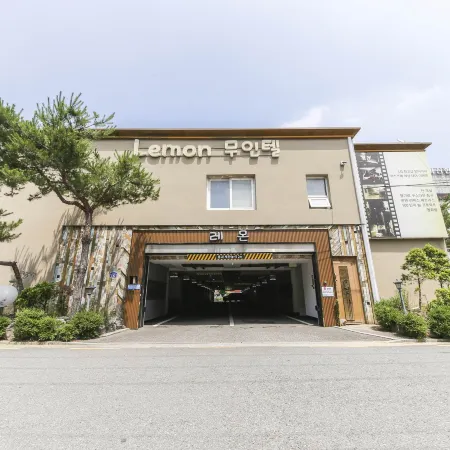Gunsan Lemon Tree