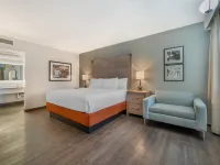 Best Western Plus Kings Inn  Suites Hotels in Kingman