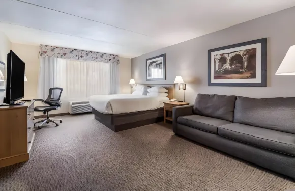 西菲尼克斯古德伊爾紅獅套房酒店