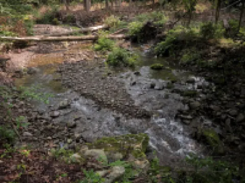 Luxuriously Restored Farm Cabin