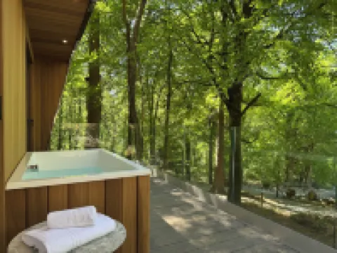 Forest Lodges Hotels in 