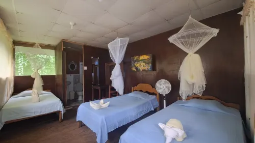 Jacamar Lodge Expeditions - Homestay