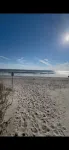 New Listing | Lux Beach House, Dog Friendly! - 4-Star
