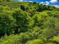 Oniropagida - Dream Catcher - House on Way to Sougia - 3-Star