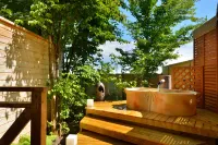 Healing Inn White Pension - Thermen
