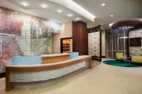 สปริงฮิลล์สวีทส์ บายแมริออท ฮิวสตัน ดาวน์ทาวน์/ศูนย์การประชุม - สระว่ายน้ำส่วนตัว