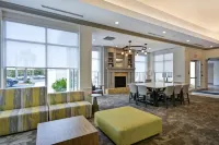 Hilton Garden Inn Panama City - Kæledyr tilladt