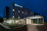 印第安納波利斯韋斯特菲爾德SpringHill Suites酒店 - Wi-Fi