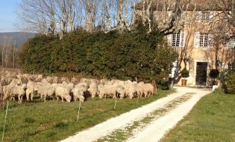 B&b Guest House "Domaine le Clos du Pavillon" Provence