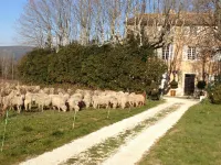 B&b Guest House "Domaine le Clos du Pavillon" Provence