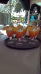 Eden Villa - bar
