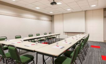 Ibis Sao Carlos