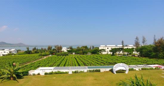 Regenta Resort Soma Vine Village Gangavhare Updated 21 Price Reviews Trip Com