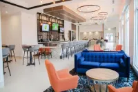 Hilton Garden Inn Tampa Suncoast Parkway - bar