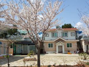 Seocheon Badahyanggi Pension